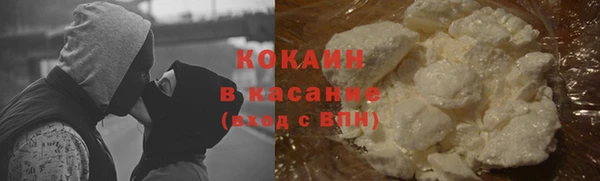 прущие грибы Алексин