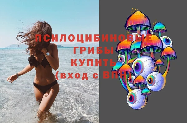 скорость Алзамай