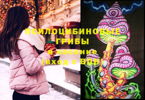 МДПВ Алексеевка